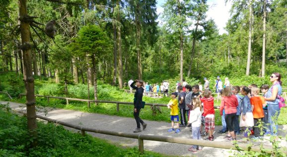 Wo sind die AFFEN?