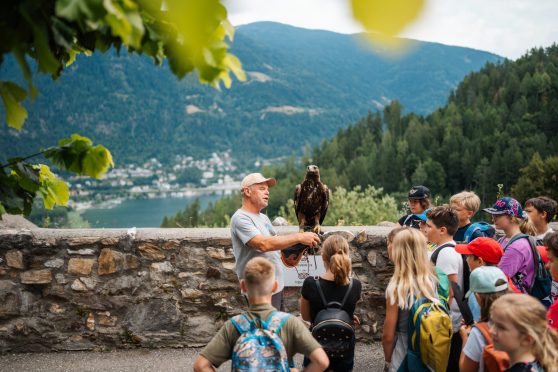 Adlerarena Burg Landskron